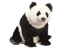 Panda & Red Panda Soft Toys